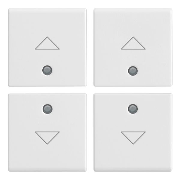 Four half-buttons 1M arrow symbol white image 1