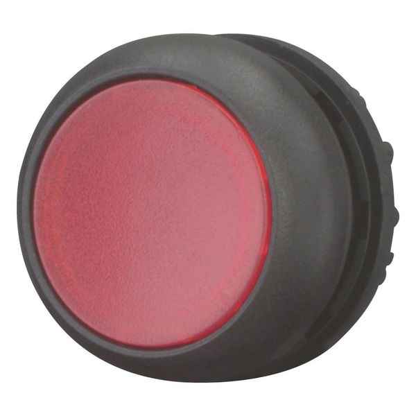 Illuminated pushbutton actuator, RMQ-Titan, Flush, momentary, red, Blank, Bezel: black image 6