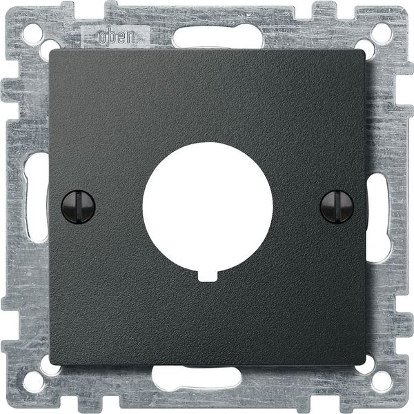 Central plate for command devices, anthracite, System M image 1