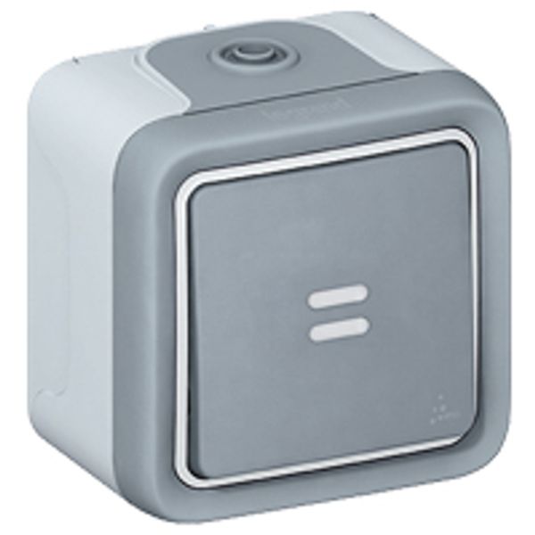 Push-button Plexo IP 55 - illuminated N/O contact - surface mounting - grey image 1