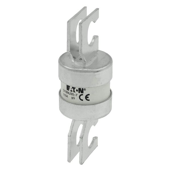 Utility fuse-link, LV, 315 A, AC 415 V, BS88/J, 38 x 110 mm, gL/gG, BS, 82mm fixing centres image 5