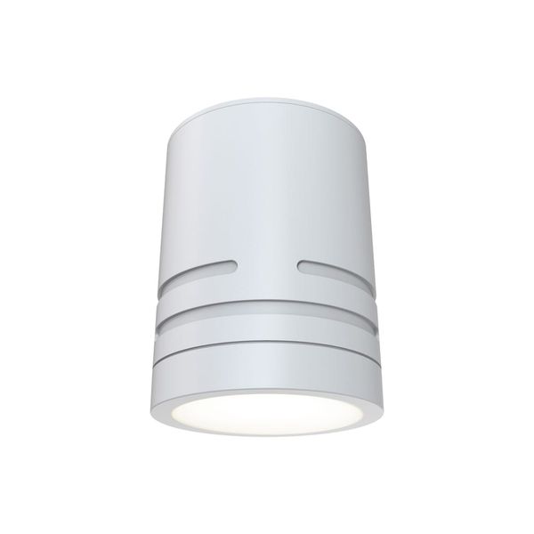 Reef CCT Fixed Surface Downlight White image 1