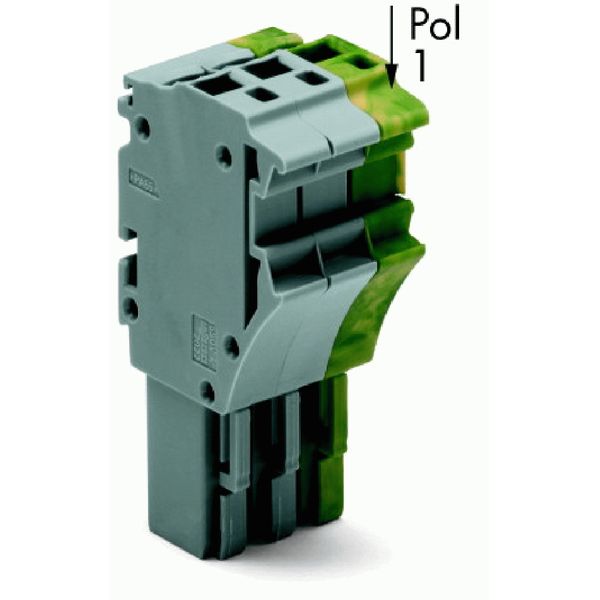 1-conductor female connector Push-in CAGE CLAMP® 4 mm² gray, green-yel image 3