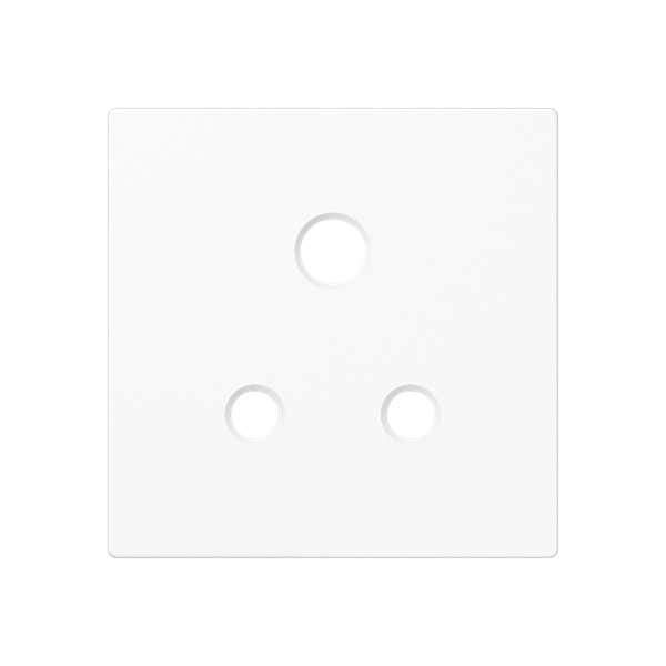 Centre plate for socket insert 3171-5 EINS, thermoplastic, A range, white image 1