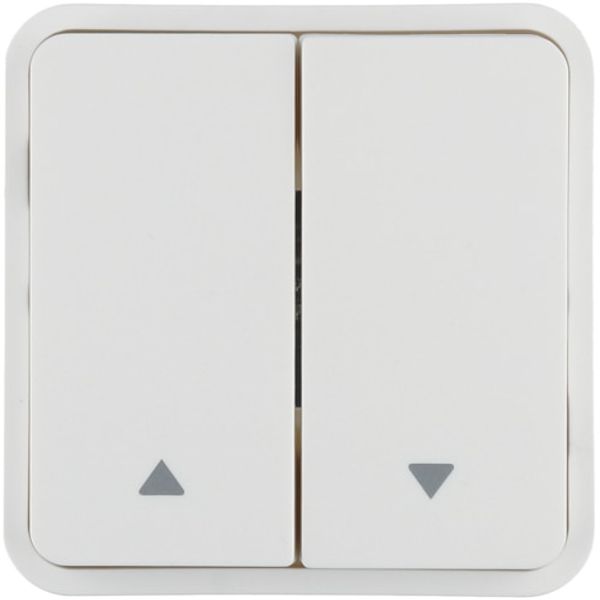 CUBYKO KNX PANEL 2 BUTTONS WHITE INDICATION 1 ROLL image 1