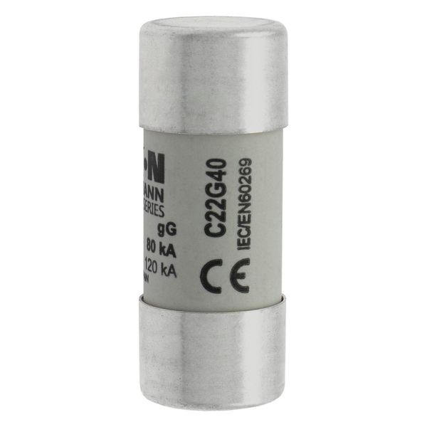 Fuse-link, LV, 40 A, AC 690 V, 22 x 58 mm, gL/gG, IEC image 18