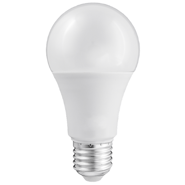 LED Light bulb 10W E27 A60 4000K 810lm AC/DC 12-60V THORGEON image 1
