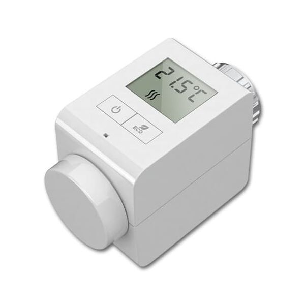 6256/2-WL WL-Rad. Thermostat, Comf. image 3
