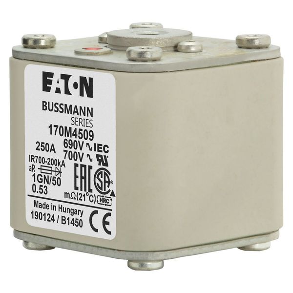 Fuse-link, high speed, 250 A, AC 690 V, size 1, 53 x 69 x 51 mm, aR, IEC, UL, single indicator, flush end, 18 UNC image 14