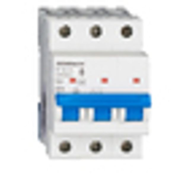 Miniature Circuit Breaker (MCB) AMPARO 6kA, B 13A, 3-pole image 7