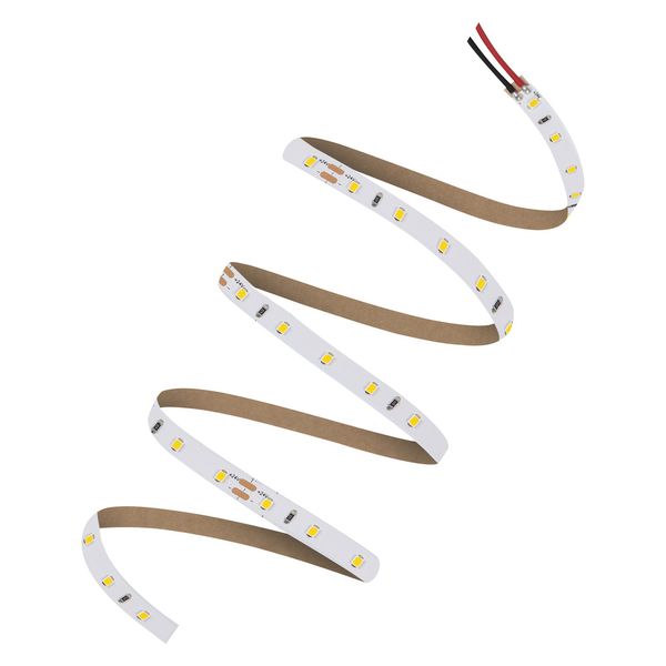 LED STRIP V 1000 -1000/865/5 image 4