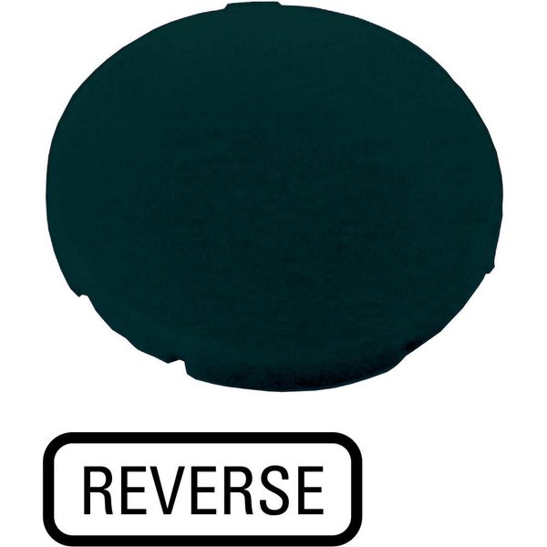 Button plate, flat black, REVERSE image 2