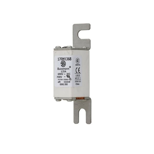 Fuse-link, high speed, 125 A, AC 690 V, DIN 000, 21 x 40 x 100 mm, aR, DIN, IEC, single indicator image 7