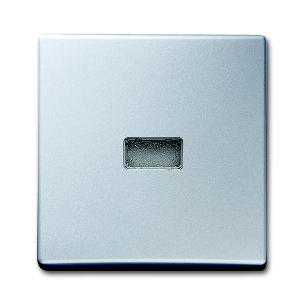 2107-33 CoverPlates (partly incl. Insert) carat® Aluminium silver image 1