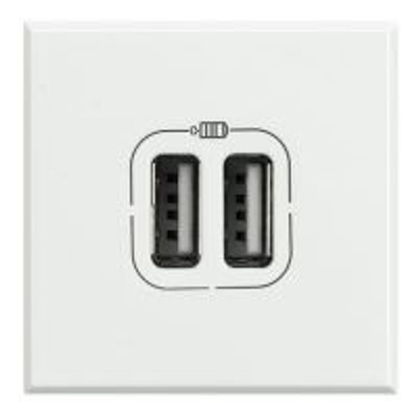AXOLUTE - DOUBLE USB CHARGER WHITE image 1