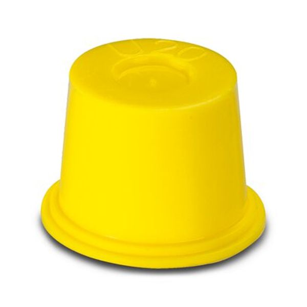 Protective cap image 1
