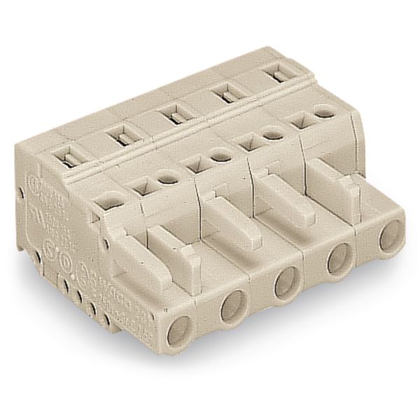 1-conductor female connector CAGE CLAMP® 2.5 mm² light gray image 1