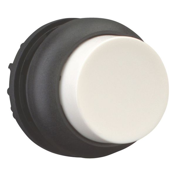 Pushbutton, RMQ-Titan, Extended, maintained, White, Blank, Bezel: black image 13