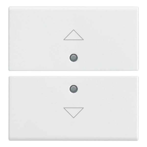 Two half-buttons 2M arrow symbol white image 1