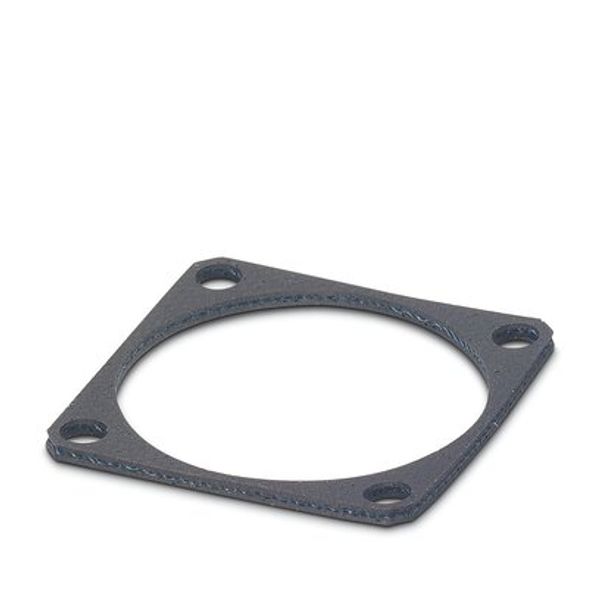 Flat gasket image 1