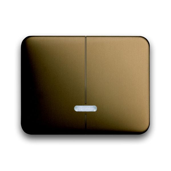 6545-21 CoverPlates (partly incl. Insert) carat® bronze image 1