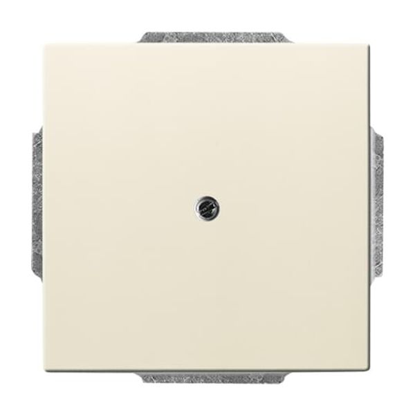 1766-82 CoverPlates (partly incl. Insert) future®, solo®; carat®; Busch-dynasty® ivory white image 4