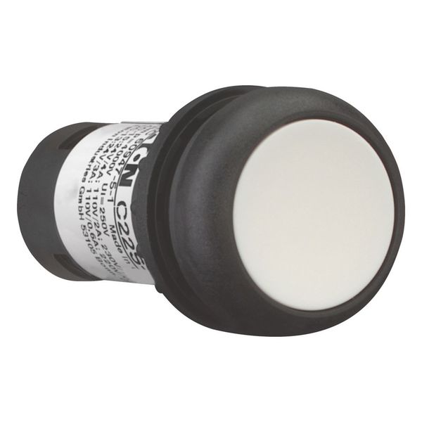 Pushbutton, Flat, maintained, 1 N/O, Screw connection, White, Blank, Bezel: black image 6