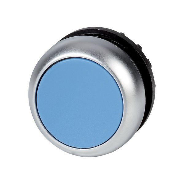 Pushbutton, RMQ-Titan, Flat, momentary, Blue, Blank, Bezel: titanium image 2