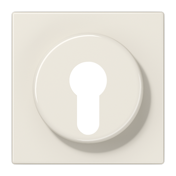 Centre plate f. key switch LS928 image 1