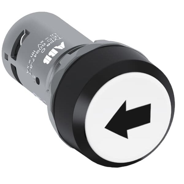 CP9-1006 Pushbutton image 4
