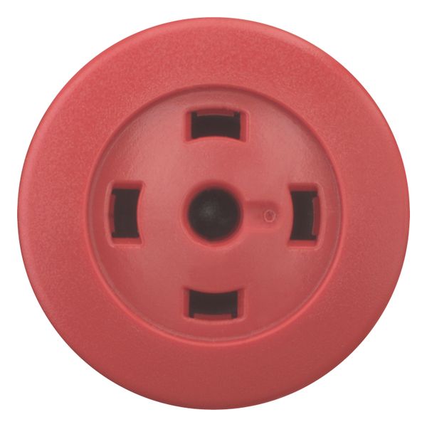 Mushroom actuator, RMQ-Titan, Mushroom, maintained, Mushroom red, Without button plate, Bezel: black image 10