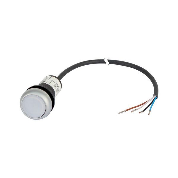 Illuminated pushbutton actuator, Flat, momentary, 1 N/O, Cable (black) with non-terminated end, 4 pole, 3.5 m, LED white, White, Blank, 24 V AC/DC, Be image 3