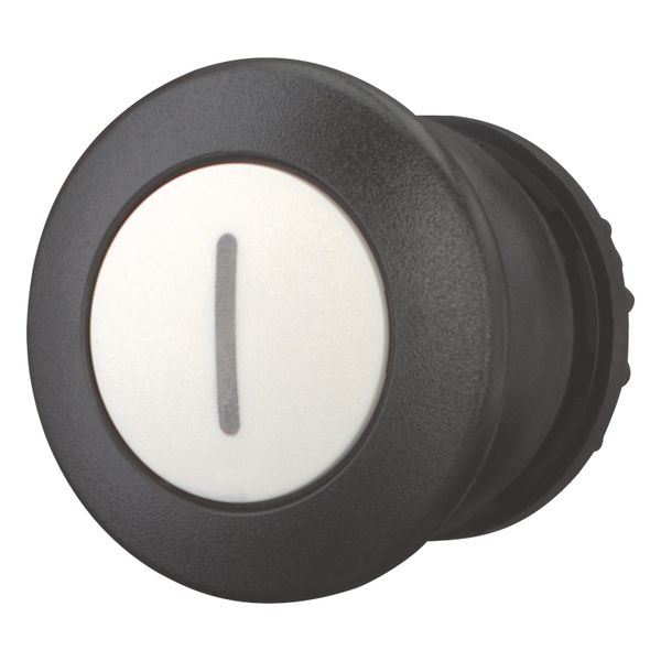 Mushroom actuator, RMQ-Titan, Mushroom, momentary, Mushroom black, White, inscribed, Bezel: black image 2