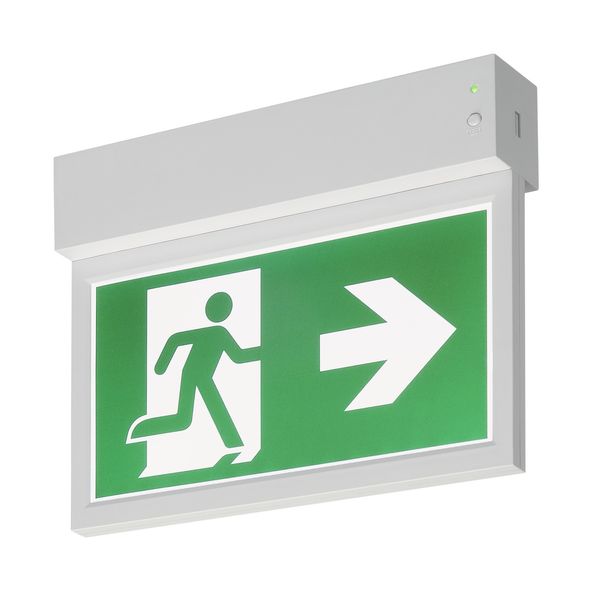 P-LIGHT Emergency Exit sign small ceiling/wall, white image 2