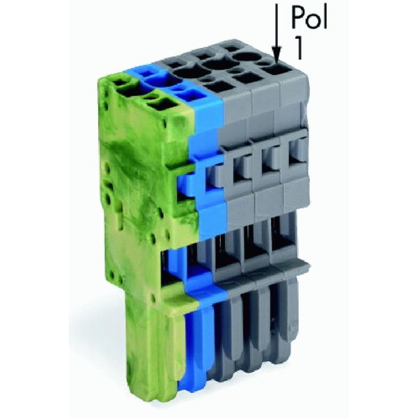 1-conductor female connector CAGE CLAMP® 4 mm² green-yellow, blue, gra image 2