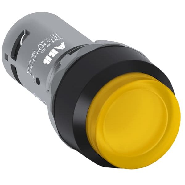 CP2-12Y-10 Pushbutton image 1