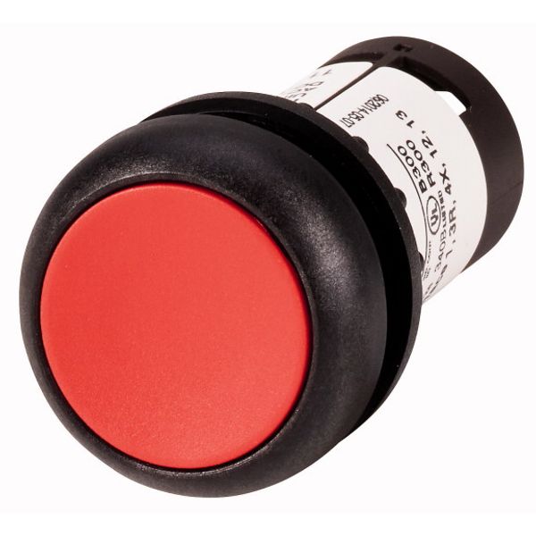 Pushbutton, Flat, momentary, 1 NC, 1 N/O, Screw connection, red, Blank, Bezel: black image 1