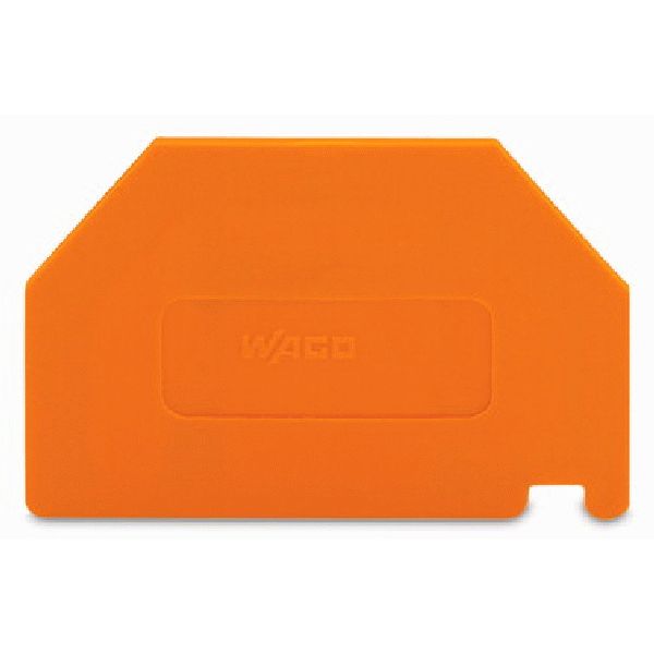 Separator plate 2 mm thick oversized orange image 1
