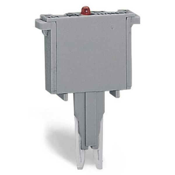 Component plug for carrier terminal blocks 2-pole gray image 1