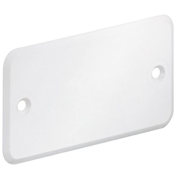 Flush-mounting cover 75 x 40 mm image 1