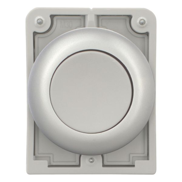 Pushbutton, RMQ-Titan, Flat, momentary, gray, Blank, Metal bezel image 10