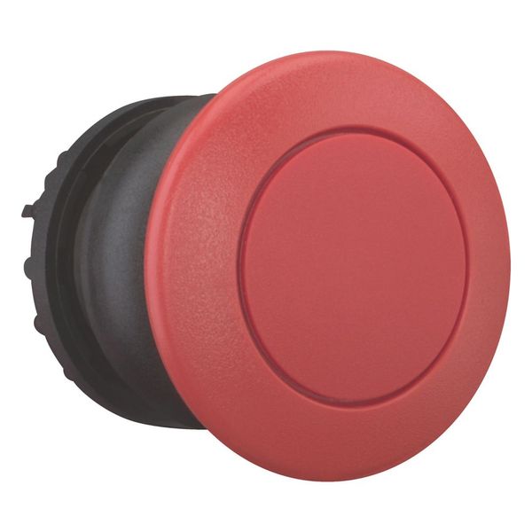 Mushroom actuator, RMQ-Titan, Mushroom, maintained, Mushroom red, red, Blank, Bezel: black image 12
