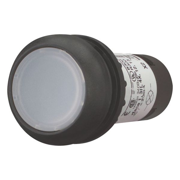 Illuminated pushbutton actuator, Flat, maintained, 1 N/O, Screw connection, LED white, White, Blank, 24 V AC/DC, Bezel: black image 11