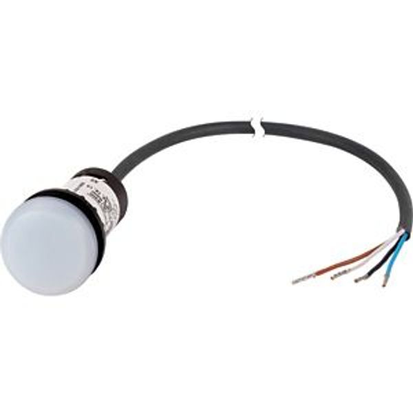 Indicator light, Flat, Cable (black) with non-terminated end, 4 pole, 1 m, Lens white, LED white, 24 V AC/DC image 5