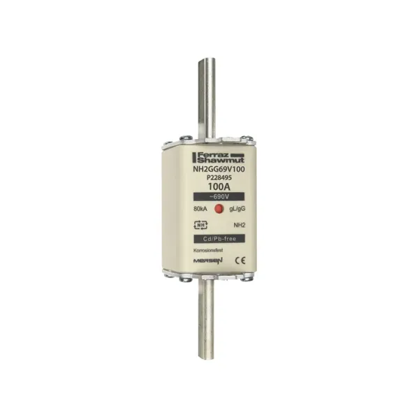 Fuse-link NH2 gG 690VAC 100A live tags Double indicator image 2