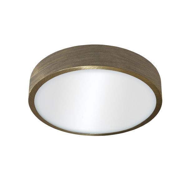 Kaju Surface Mounted LED Downlight RD 30W Brass image 2