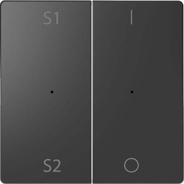 Rockers for button module 2-fold (Scene1/2, 1/0), anthracite, system design image 1