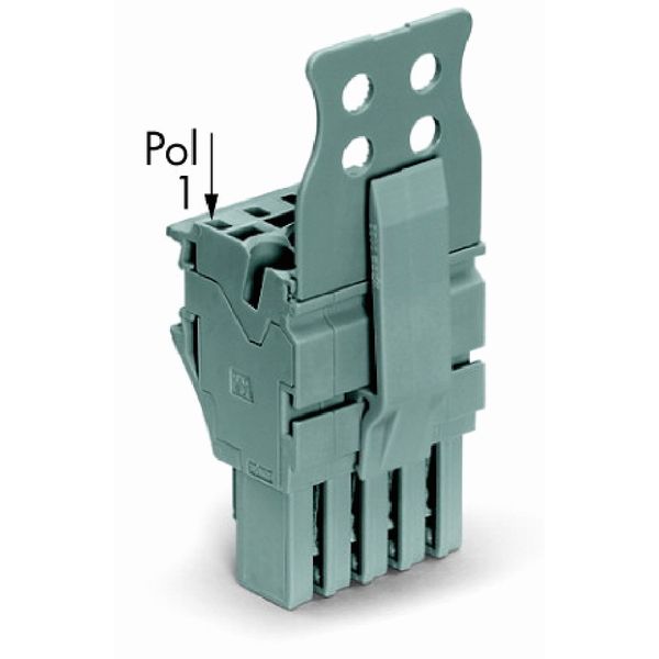 1-conductor female connector Push-in CAGE CLAMP® 4 mm² gray image 2