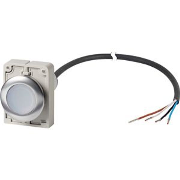Illuminated pushbutton actuator, Flat, momentary, 1 N/O, Cable (black) with non-terminated end, 4 pole, 1 m, LED white, White, Blank, 24 V AC/DC, Meta image 2