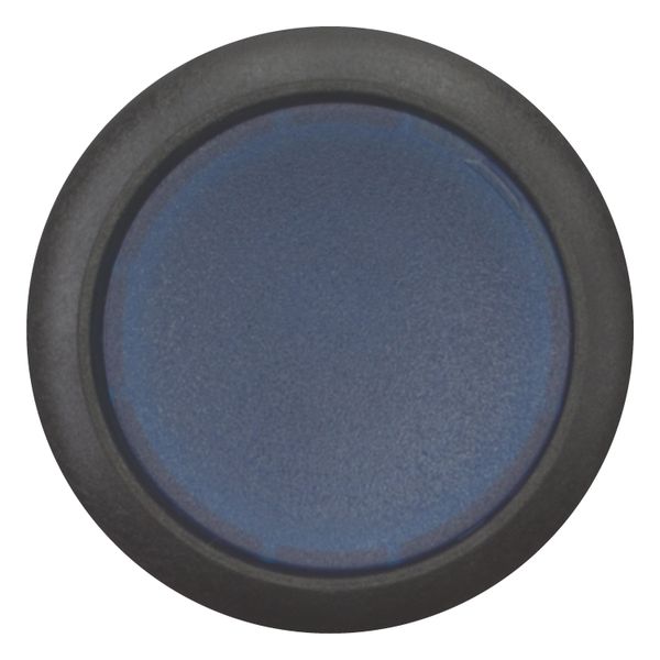 Illuminated pushbutton actuator, Flat, maintained, 1 N/O, Screw connection, LED Blue, Blue, Blank, 120 V AC, Bezel: black image 4